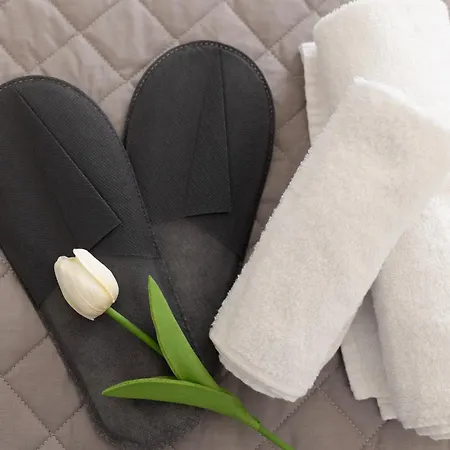 Pensión Umberto 303